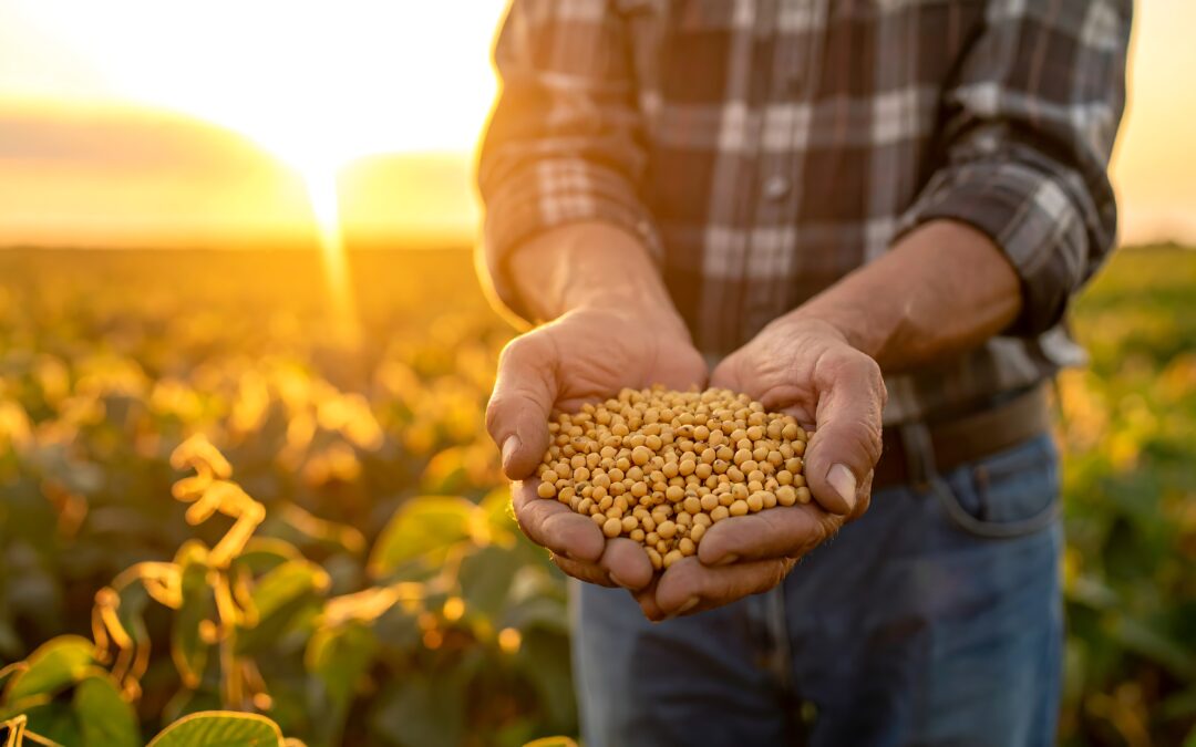EXPORTAÇÕES DO AGRONEGÓCIO CRESCEM 9,8% EM AGOSTO, IMPULSIONADAS POR SOJA, CAFÉ E FRANGO