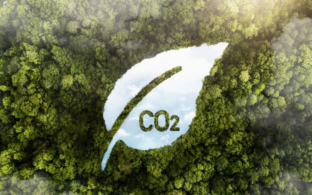 TRANSPORTADORAS PASSAM A INCORPORAR INDICADORES DE CARBONO À GESTÃO DA FROTA