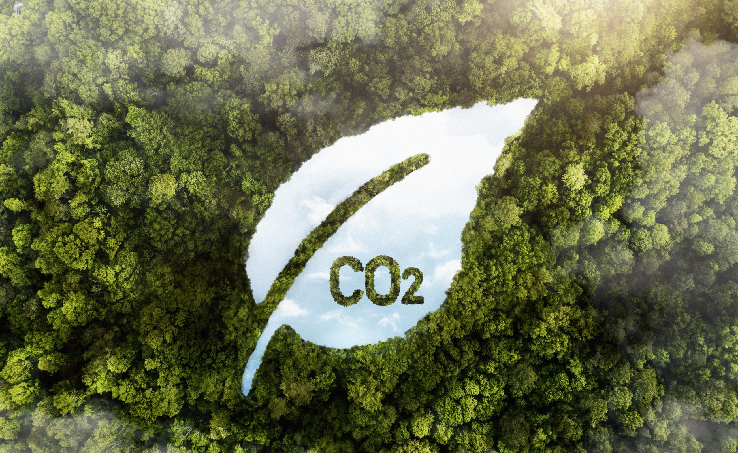 TRANSPORTADORAS PASSAM A INCORPORAR INDICADORES DE CARBONO À GESTÃO DA FROTA