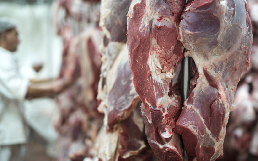 UNIÃO EUROPEIA SUSPENDE IMPORTAÇÃO DE CARNES E OUTROS PRODUTOS ANIMAIS DO BRASIL, COM IMPACTO DE ATÉ US$ 2 BILHÕES AO ANO