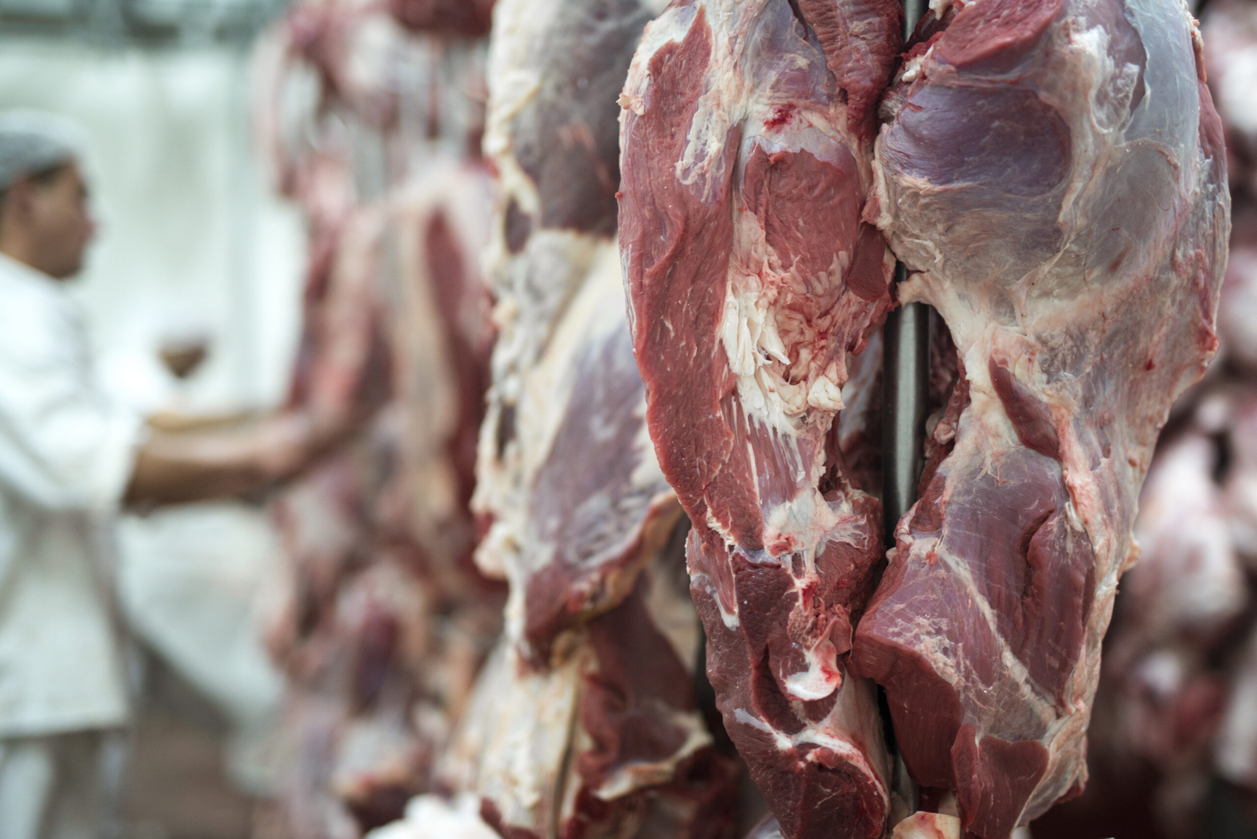 UNIÃO EUROPEIA SUSPENDE IMPORTAÇÃO DE CARNES E OUTROS PRODUTOS ANIMAIS DO BRASIL, COM IMPACTO DE ATÉ US$ 2 BILHÕES AO ANO